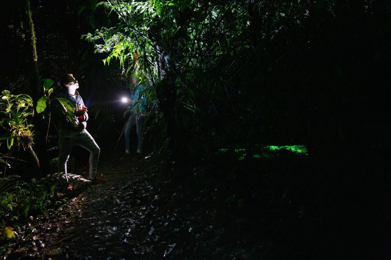 ミンド Eden Treehouseヴィラ エクステリア 写真