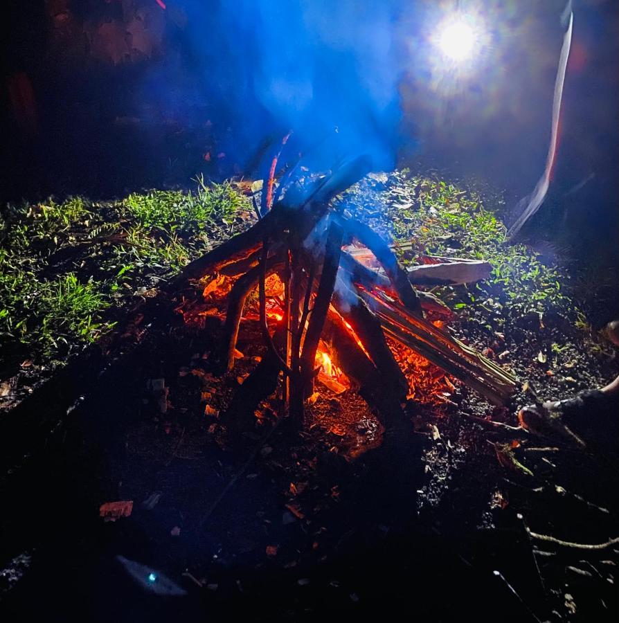 ミンド Eden Treehouseヴィラ エクステリア 写真