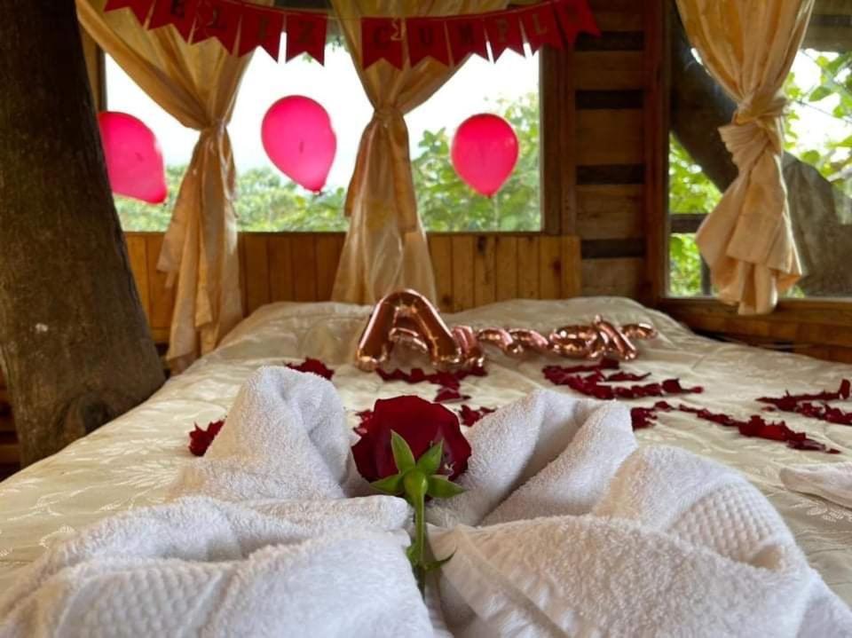 ミンド Eden Treehouseヴィラ エクステリア 写真