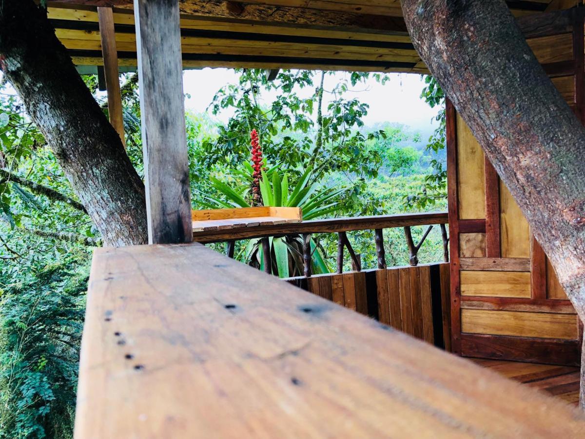 ミンド Eden Treehouseヴィラ エクステリア 写真