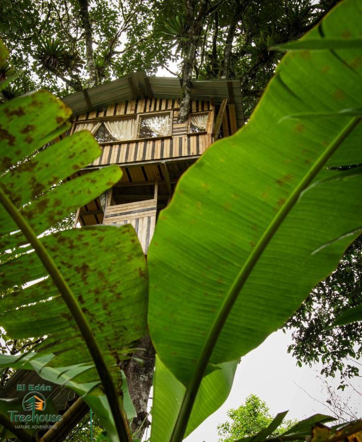 ミンド Eden Treehouseヴィラ エクステリア 写真