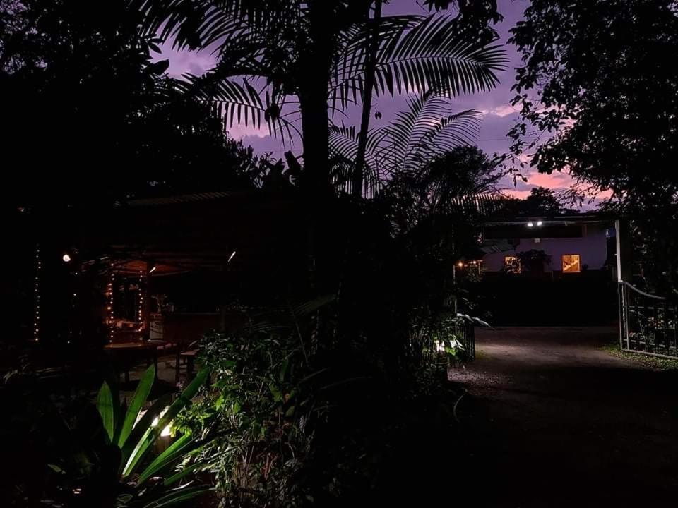 ミンド Eden Treehouseヴィラ エクステリア 写真