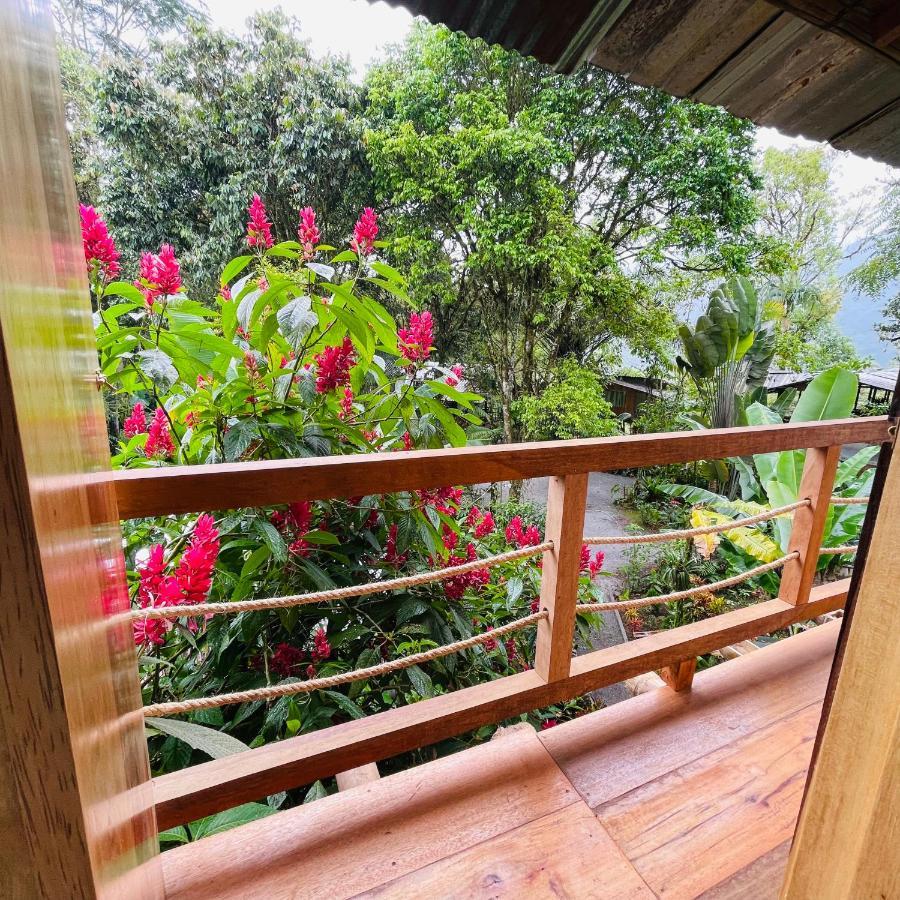 ミンド Eden Treehouseヴィラ エクステリア 写真
