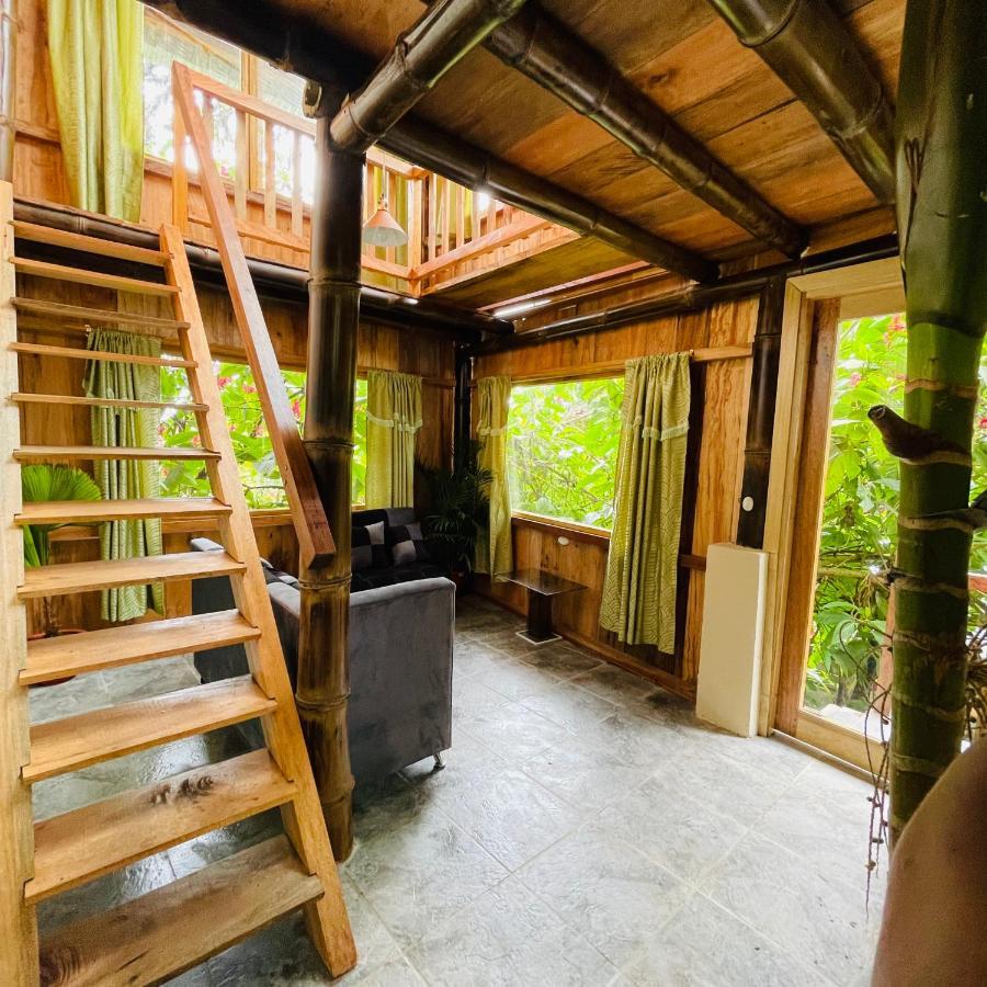 ミンド Eden Treehouseヴィラ エクステリア 写真