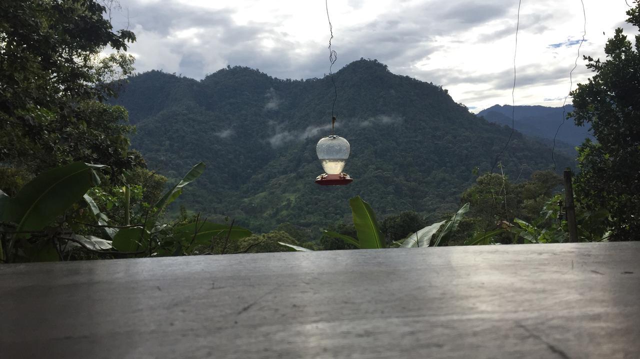ミンド Eden Treehouseヴィラ エクステリア 写真