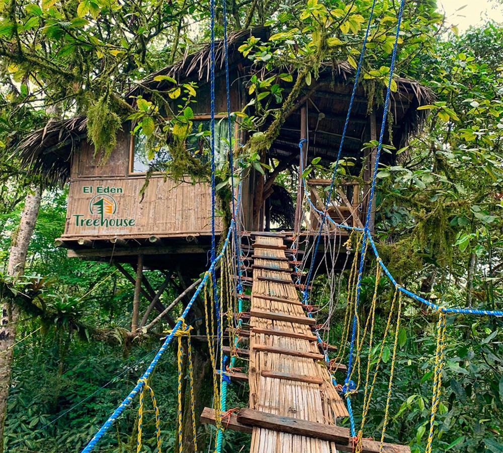 ミンド Eden Treehouseヴィラ エクステリア 写真
